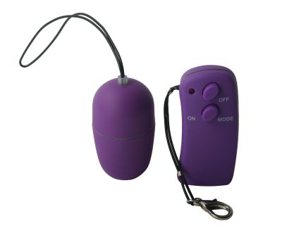 The Purple Seven-Function Remote Control Egg